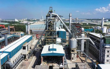 Vingroup hợp tác và hỗ trợ Pomina phát triển