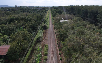 Triển khai Thông tư 25, Đồng Nai xử lý tình trạng mở lối đi tự phát qua đường sắt