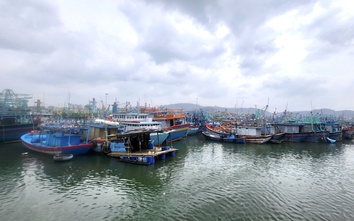 Gia Lai kêu gọi hơn 5.400 tàu thuyền khẩn trương vào bờ tránh bão số 15