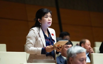 Đề xuất đưa cảng Con Ong - Hòn Nét vào quy hoạch, nghiên cứu tuyến đường thủy Bắc - Nam