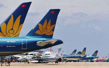 Cục trưởng Hàng không: Hạn chế tối đa hủy chuyến bay sau chỉ lệnh của EASA