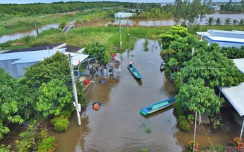 Cà Mau: Người dân khu tái định cư vất vả lưu thông vì nước ngập bủa vây gần nửa tháng