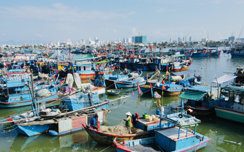 Ứng phó bão số 13: Khánh Hòa thành lập 9 tổ công tác