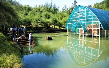 Huế: Khẩn trương “giải cứu” di tích Tháp Chăm Phú Diên ngâm nước lũ