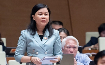 ĐBQH: Cần quy định hậu quả pháp lý với hành vi cố ý mật hoá sai quy định