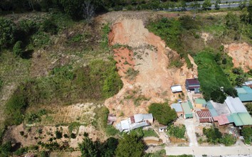 Lâm Đồng: Di dời hàng chục hộ dân khỏi khu vực đồi thông 35ha nguy cơ sạt lở