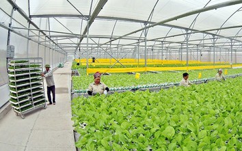 VietGAP: Từ mô hình sản xuất nhỏ lẻ đến nền nông nghiệp hiện đại