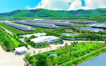 Tiêu chuẩn xanh thúc đẩy năng suất doanh nghiệp, hướng đến phát triển bền vững