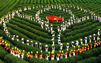 Hương sắc không gian trà, định danh “thủ phủ chè” Thái Nguyên