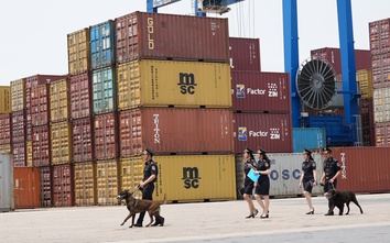 Bộ Xây dựng mở cao điểm chống buôn lậu, gian lận thương mại dịp Tết Bính Ngọ 2026