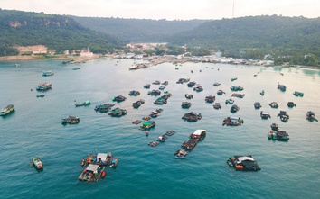 Sống theo mùa gió...