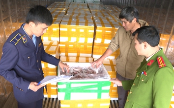 Phát hiện xe đầu kéo vận chuyển gần 10 tấn cá khoai chứa chất cấm bảo quản