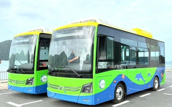 TP.HCM khai thác tuyến xe buýt điện công cộng đầu tiên tại đặc khu Côn Đảo