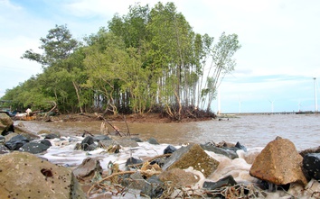 Cà Mau đầu tư 185 tỷ đồng khép kín tuyến kè giảm sóng bảo vệ đê biển Đông