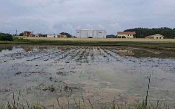 Cục Xăng dầu nói gì về sự cố tràn dầu ở KKT Dung Quất?