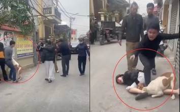 Hà Nội: Xác minh thông tin xua chó tấn công hàng xóm trong lúc xô xát