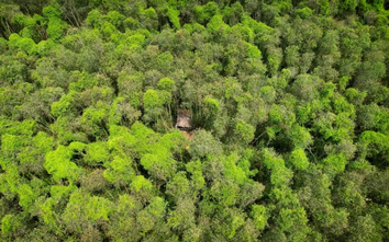 Cà Mau: Gần 1.460 tỷ đồng phát triển du lịch sinh thái U Minh Hạ