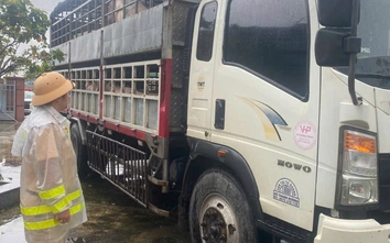Cảnh sát giao thông Gia Lai kịp thời phát hiện hai xe chở lợn nghi nhiễm dịch đi tiêu thụ