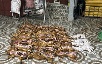 Đà Nẵng: Đột kích cơ sở giết mổ chó, tạm giữ 29 con không nguồn gốc và thu giữ 10kg pháo