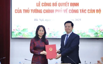 Bà Lâm Thị Phương Thanh giữ chức Thứ trưởng Thường trực Bộ Văn hóa, Thể thao và Du lịch