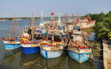 An Giang quyết liệt xử lý tàu cá khai thác thủy sản bất hợp pháp