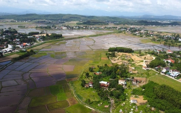 Quảng Ngãi: Yêu cầu không canh tác hoa màu trên đất quy hoạch đường 3.500 tỷ đồng