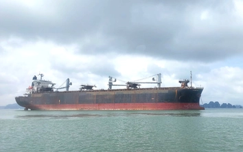 Cả nước có hơn 120 bến phao, 28 khu neo đậu chuyển tải đang khai thác