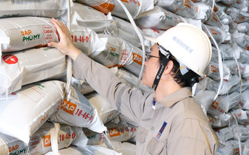 PVFCCo - Phú Mỹ ra mắt DAP Phú Mỹ: Cung ứng nguồn phân bón chất lượng cao cho thị trường
