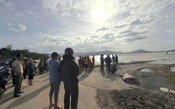 Đắk Lắk: Hai mẹ con tử vong thương tâm khi đi hái cà phê