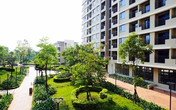 Mua bán “suất” nhà ở xã hội qua vi bằng: Hệ lụy khôn lường và góc nhìn pháp lý