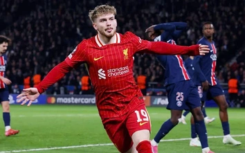 Nhận định, soi tỷ lệ Liverpool vs PSG (3h ngày 12/3), Champions League 2024-2025