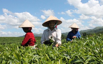 Mở rộng chương trình tín dụng 100.000 tỷ đồng với lĩnh vực nông, lâm, thủy sản
