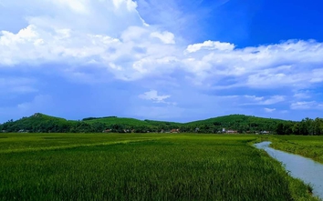 Đặt tên xã mới: Quảng Ngãi bỏ đánh số, một phường ở w88 apk mang tên tỉnh cũ