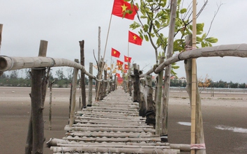 Độc lạ cầu tre vượt biển ở Cồn Đen