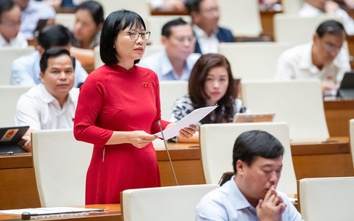 ĐBQH: Không thể phát hiện người tài nếu chỉ nhìn vào hồ sơ, bằng cấp