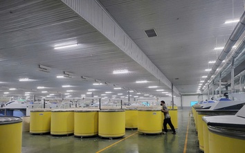 Chuyển đổi xanh, chuyển đổi số: Động lực tăng trưởng mới cho ngành dệt may