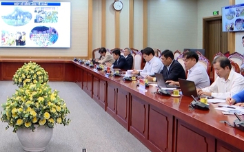 Chủ tịch Quảng Ngãi yêu cầu dừng tổ chức tham quan, học tập kinh nghiệm