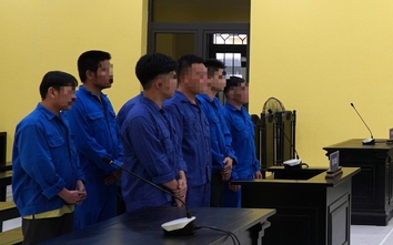 Nhóm sử dụng giấy tờ giả, lừa thuê xe để chiếm đoạt tài sản lĩnh án