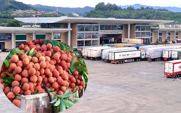 Hành trình 30 phút vượt biên của vải thiều ở cửa khẩu Lào Cai