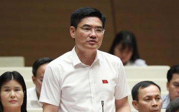 Đại biểu đồng tình giao Viện kiểm sát khởi kiện vụ án dân sự, bảo vệ lợi ích công