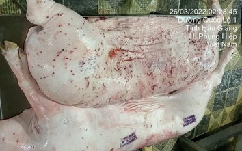 Cục Chăn nuôi và Thú y chỉ đạo kiểm tra hoạt động của Công ty Chăn nuôi CP tại Sóc Trăng