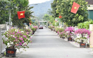 Hà Tĩnh: Diện mạo đô thị sạch đẹp, khang trang từ những ngõ phố văn minh