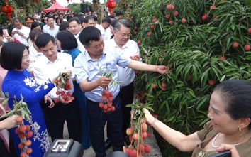 Hải Dương: Mở đầu một vụ vải thắng lợi