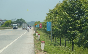Những hàng hộ lan xanh trên các tuyến quốc lộ