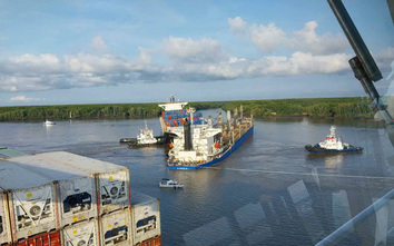 Ho Chi Minh City to develop a specific plan to address the oil spill resulting from recent
