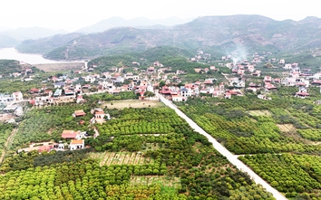 Bắc Giang: Gần 120 tỷ đồng xây dựng tuyến đường vào vùng vải thiều xuất khẩu