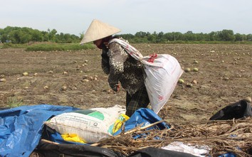 Mưa lũ dị thường gây thiệt hại nặng, Quảng Trị công bố tình huống khẩn cấp thiên tai