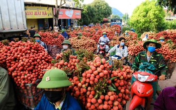 Đặc sắc chương trình du lịch “Vải thiều Lục Ngạn - Tinh hoa trái cây Việt"