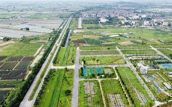 Hà Nội điều chỉnh giao đất thực hiện dự án xây dựng nhà ở sinh thái tại huyện Mê Linh
