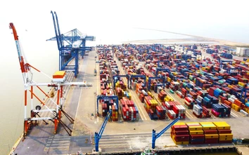 Huyện đảo Cát Hải trước ngày trở thành đặc khu kinh tế